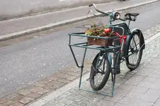 2011_1209Herbst0018.webp