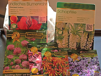 Blumenohr_Schopflilie_Wicken_Klee_Papgeienfeder_mini.webp
