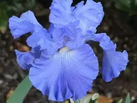 c07wkrlc7mqlkw9jx.webp