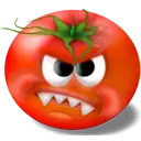 tomato.webp
