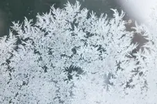 2012_0201winter0003.webp