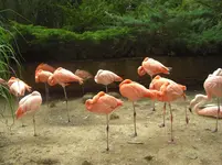 CIMG0898.webp
