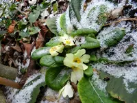 Winterzauber001.webp