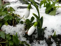 Winterzauber002.webp