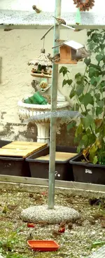 DSC00719.webp