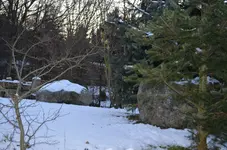Findlinge aus Granit.webp