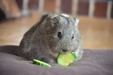 Benny1.webp