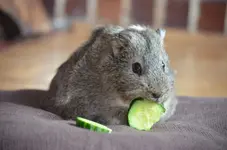 Benny4.webp