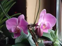 DSCF1596.webp