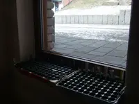 CIMG2370.webp