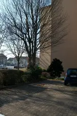 Meisen2.webp