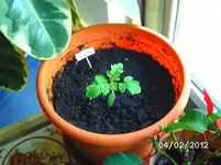 BILD0507.webp