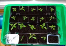 DSCF7268.2.webp DSCF7268.2.webp