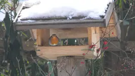 DSCN1397.webp