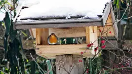 DSCN1397.webp