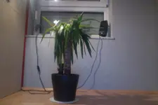 Foto am 04.02.12 um 19.55.webp
