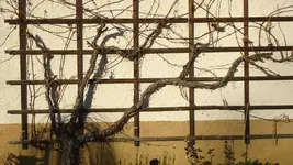 DSC01003.webp DSC01003.webp