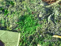 BILD0511.webp