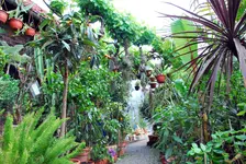 fb24.webp