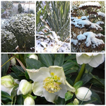 Album winterzauber.webp