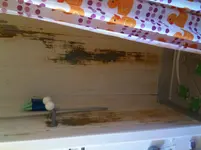 dusche.webp