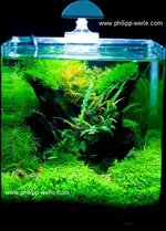aquariumdennerlecube.webp