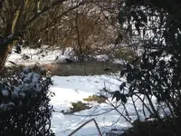BILD1213.webp