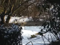 BILD1214.webp