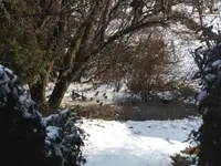 BILD1216.webp