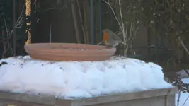 DSCN1419.webp