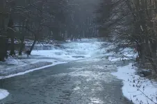 Febr. 2012 002.webp