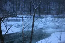 Febr. 2012 009.webp