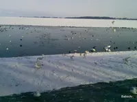 Foto0022-001.webp