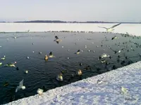 Foto0023 (1)-001.webp