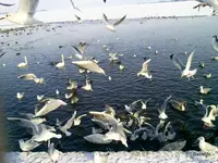 Foto0024-001.webp
