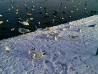 Foto0027-001.webp