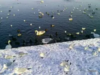 Foto0028 (1)-001.webp