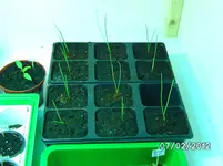BILD0507.webp