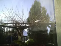 PIC01210.webp