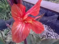 Resize_P250911_13.25.webp