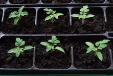 DSCF7313.2.webp
