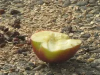 Bild 547.webp