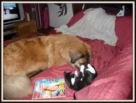 Jo & Marley in Action 008.webp