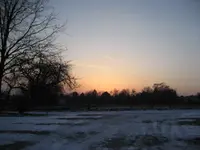 IMG_7894.webp