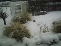 PIC01227.webp