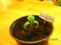 BILD0514.webp