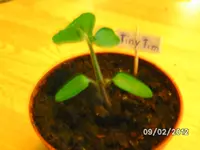 BILD0515.webp