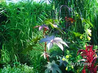 001.webp