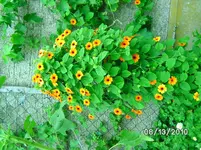 180.webp