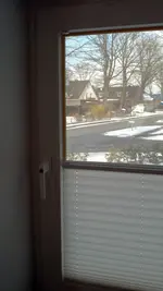 fenster.webp